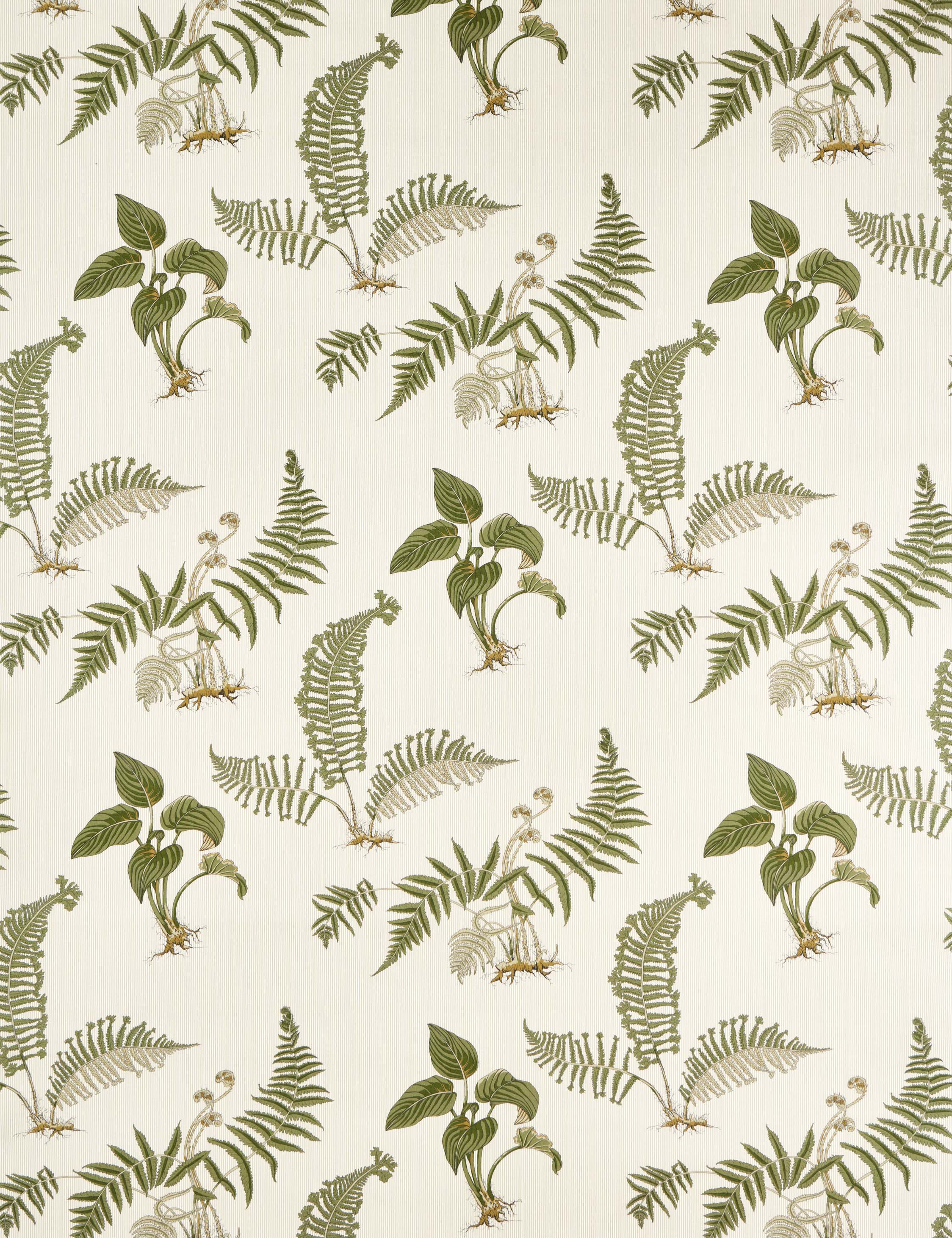 Hosta & Fern Fabric by Sanderson
