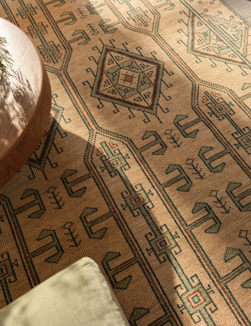 Vishal Hand-Knotted Wool Rug