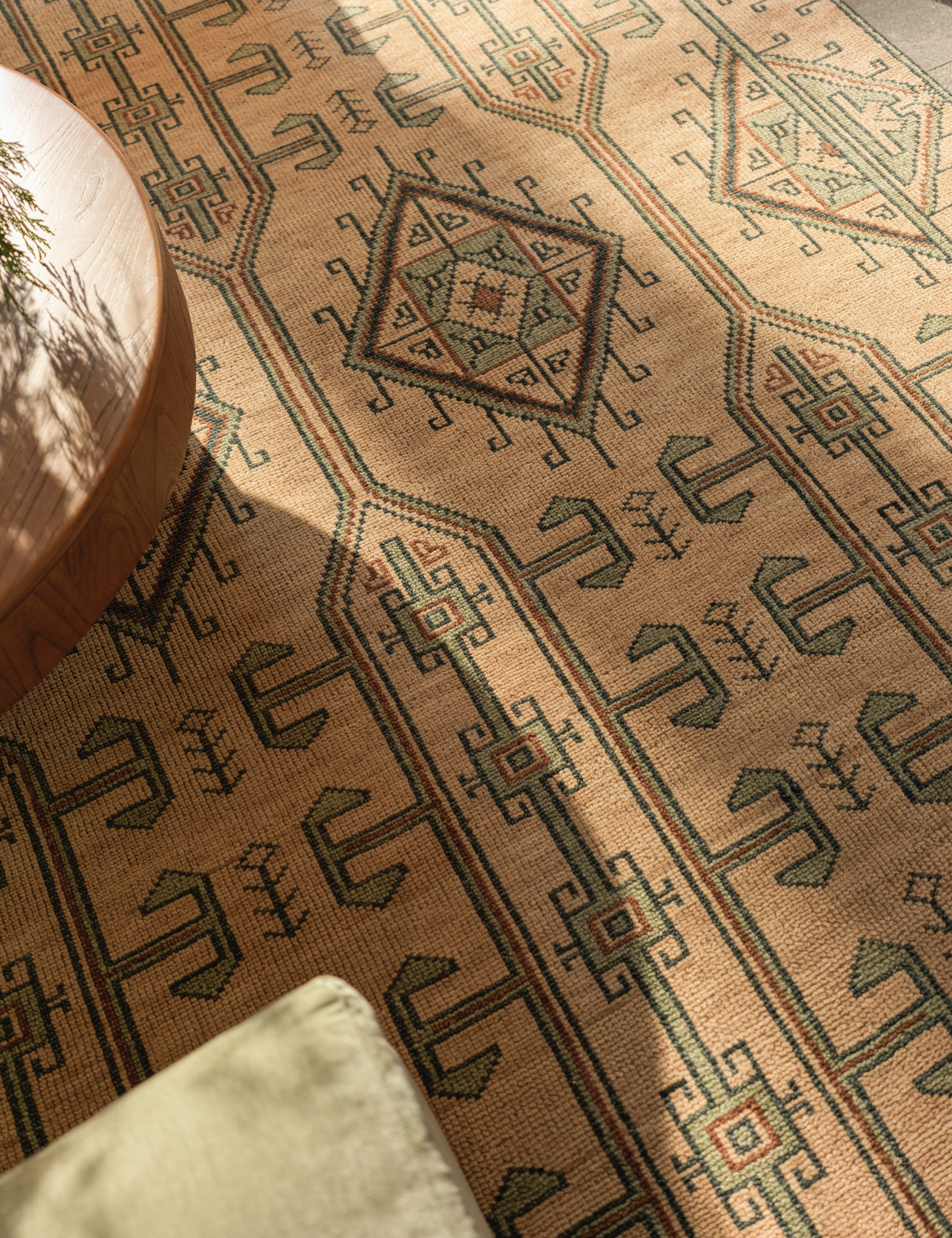 Vishal Hand-Knotted Wool Rug