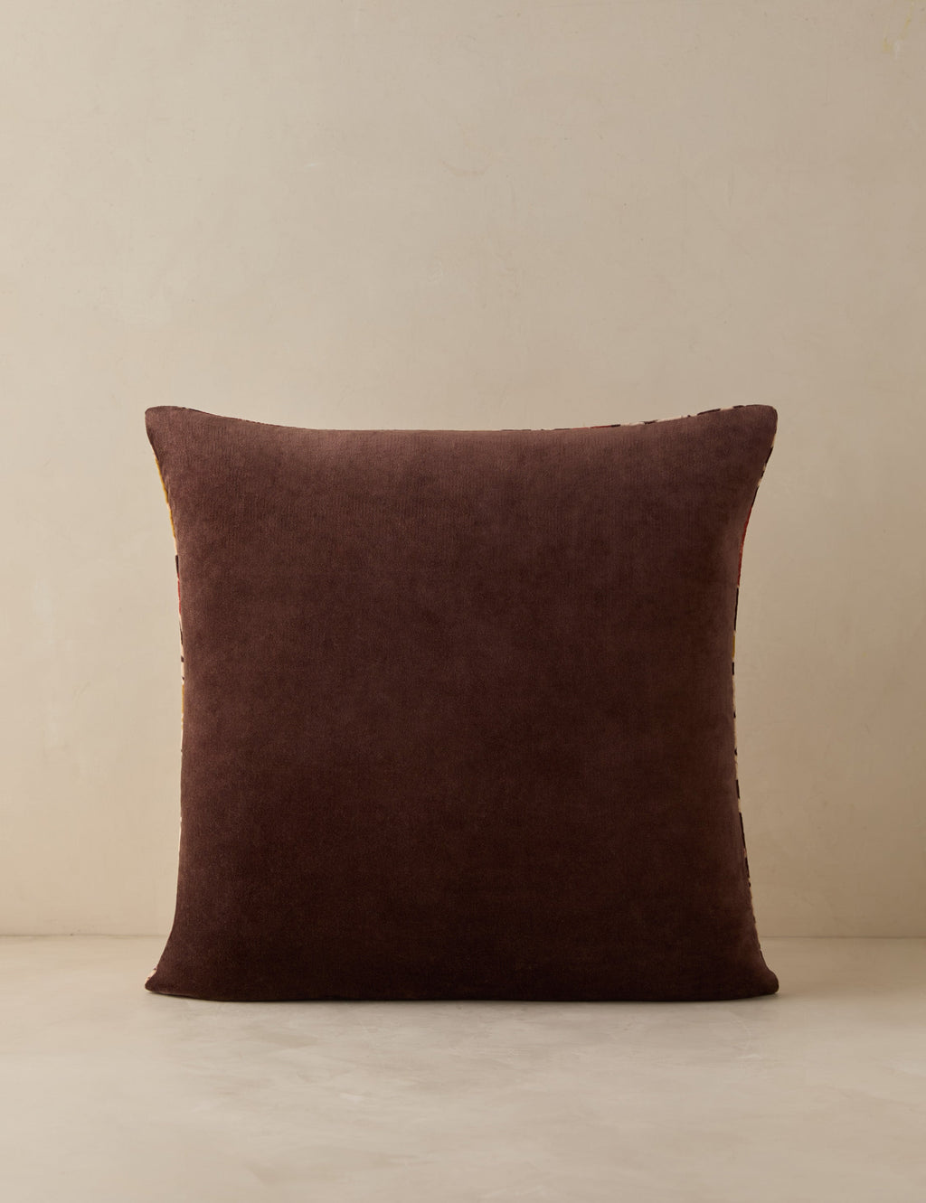 Corabel Velvet Pillow