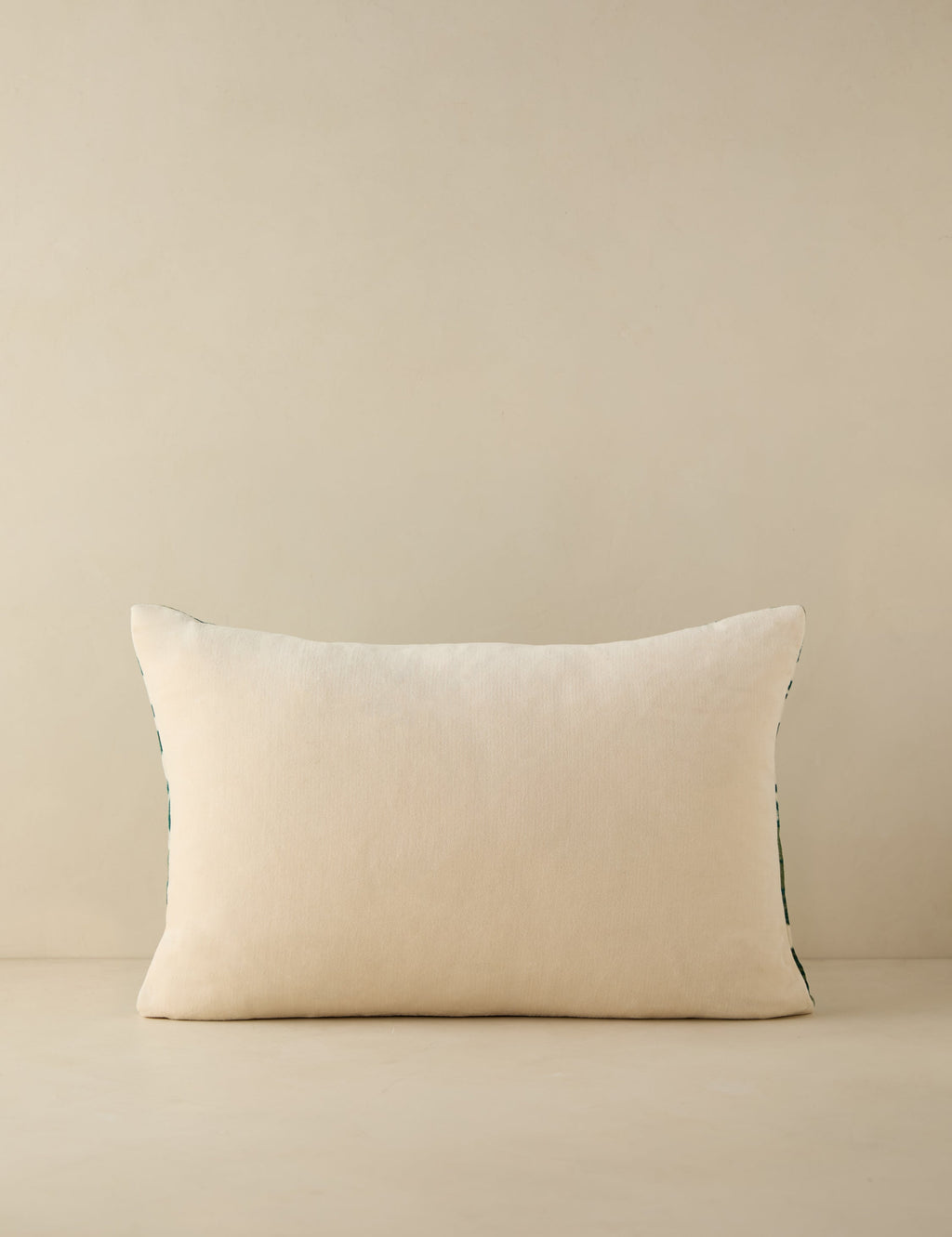 Corabel Velvet Pillow